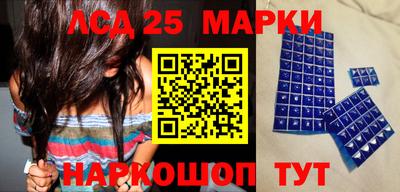 прущие грибы Сланцы