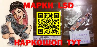spice Славгород