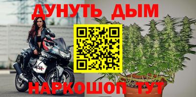 прущие грибы Сланцы