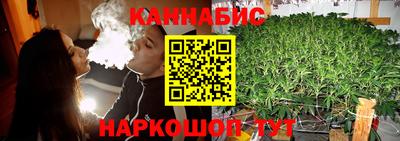 прущие грибы Сланцы