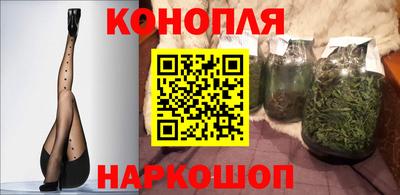 прущие грибы Сланцы