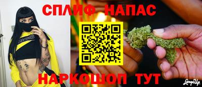 прущие грибы Сланцы