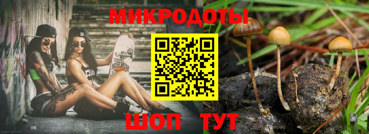 Полевской  Псилоцибиновые грибы Cubensis  Вход с VPN  Псилоцибиновые грибы мицелий 